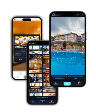 320 by 374 pixels (1)